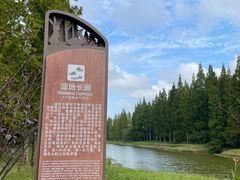 -黄海国家森林公园