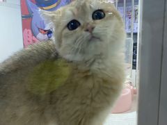 -宝鸡东道花鸟鱼虫市场(吉利花园商场店)