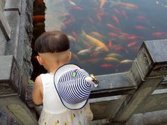 -金孔雀温泉旅游度假村