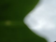 -中华人民共和国水准零点