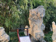 -上海醉白池公园