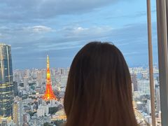 -六本木新城展望台(东京城市景观)