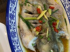 -老马家·舌尖上的西塘美食