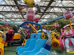 -南宫五洲植物乐园