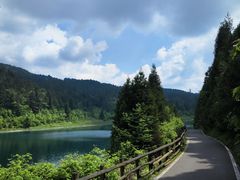 -武陵山森林公园