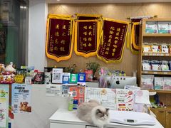 -四月宠物医院·猫专科·心脏专科·内科(转塘店)