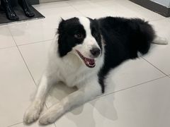 -上海潜殿潜水中心