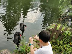 -水绘园