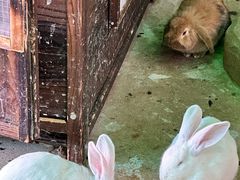 -杭州野生动物世界