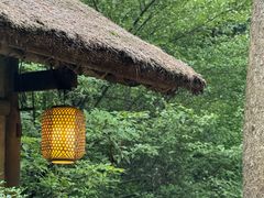 -成都杜甫草堂博物馆