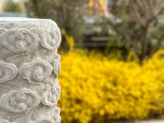 -开元寺塔