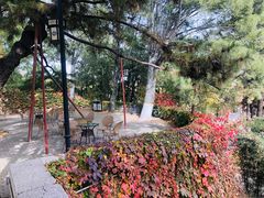 -北京鹫峰国家森林公园