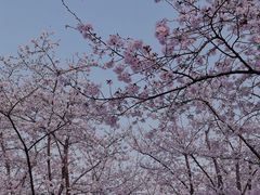 -龙美术馆(西岸馆)