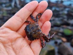 -银沙滩浴场