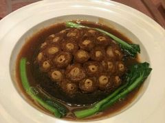 -南桥绿地铂骊酒店