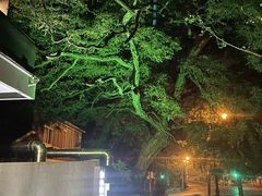 -LAMP BAR 水烟音乐酒吧