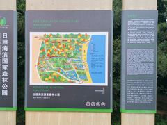 -日照海滨国家森林公园
