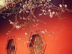 -桃花堤公园