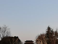 -东园小馆·早茶·淮扬小炒(宋夹城店)