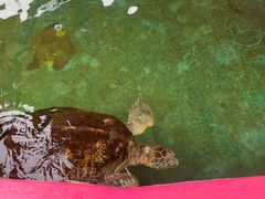 -北戴河圣蓝海洋公园