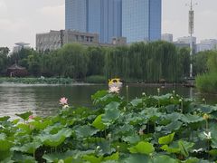 -西海子公园