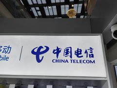 -中国电信(龙盛国际营业厅)