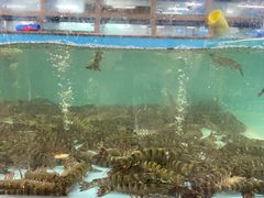-渔人湾码头海鲜市场负二楼