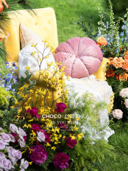 -CHOCO-启蔻婚礼(三亚公司)
