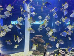 -南昌融创海世界
