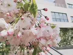 -大连外国语大学(旅顺校区)