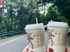 -茶颜悦色(岳麓山顶店)