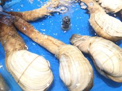 -映像威海·海鲜味道(经区店)