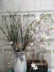 -星豆豆儿童摄影(南郊太白南路店)