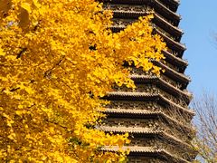 -玲珑塔公园