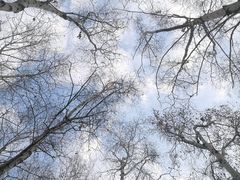 -长春市南湖公园