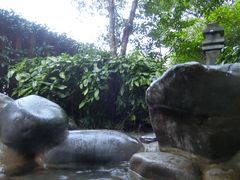 -张家港金凤凰度假村温泉