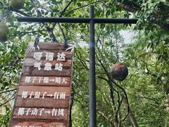 -呀诺达热带雨林