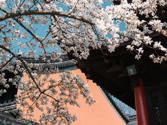 -灵谷景区