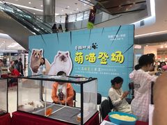 -凯德广场(学府店)