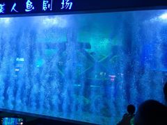 -临沂极地海洋王国