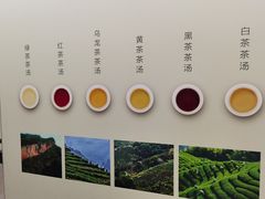 -中国茶叶博物馆(双峰馆区)