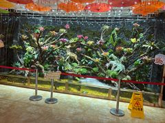 -青鱼湾水上乐园