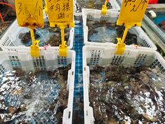 -韩家墅海吉星农产品批发市场