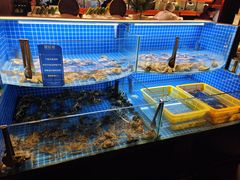 -星伦多自助料理·涮烤一体(虹悦城店)