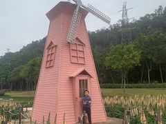 -顺峰山公园