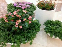 android_upload_pic-光启城时尚购物中心