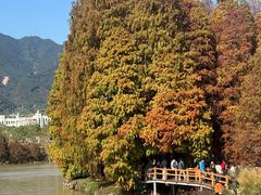 -星湖旅游景区七星岩