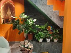 -泰古龙抓龙筋·spa按摩(静安店)