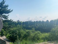 -日照海滨国家森林公园