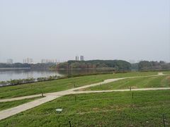 -海珠湖公园